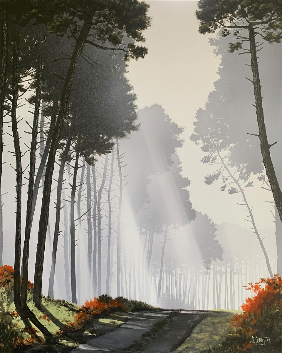 Exposition Benoît Dartigues