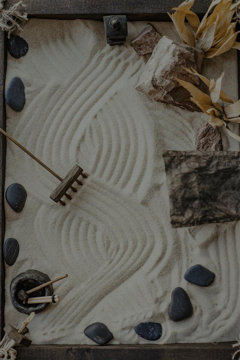 Semaine Zen - Ludobus