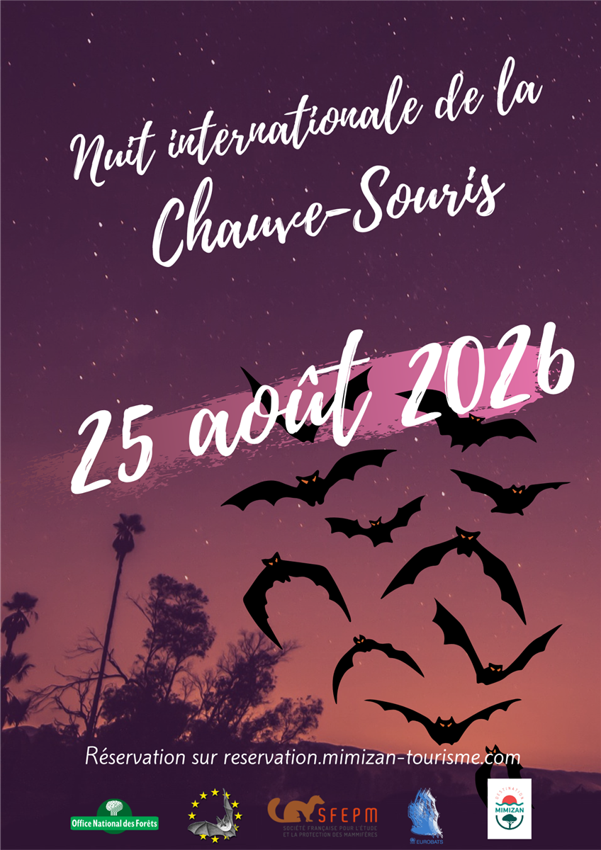 La Nuit Internationale de la Chauve Souris