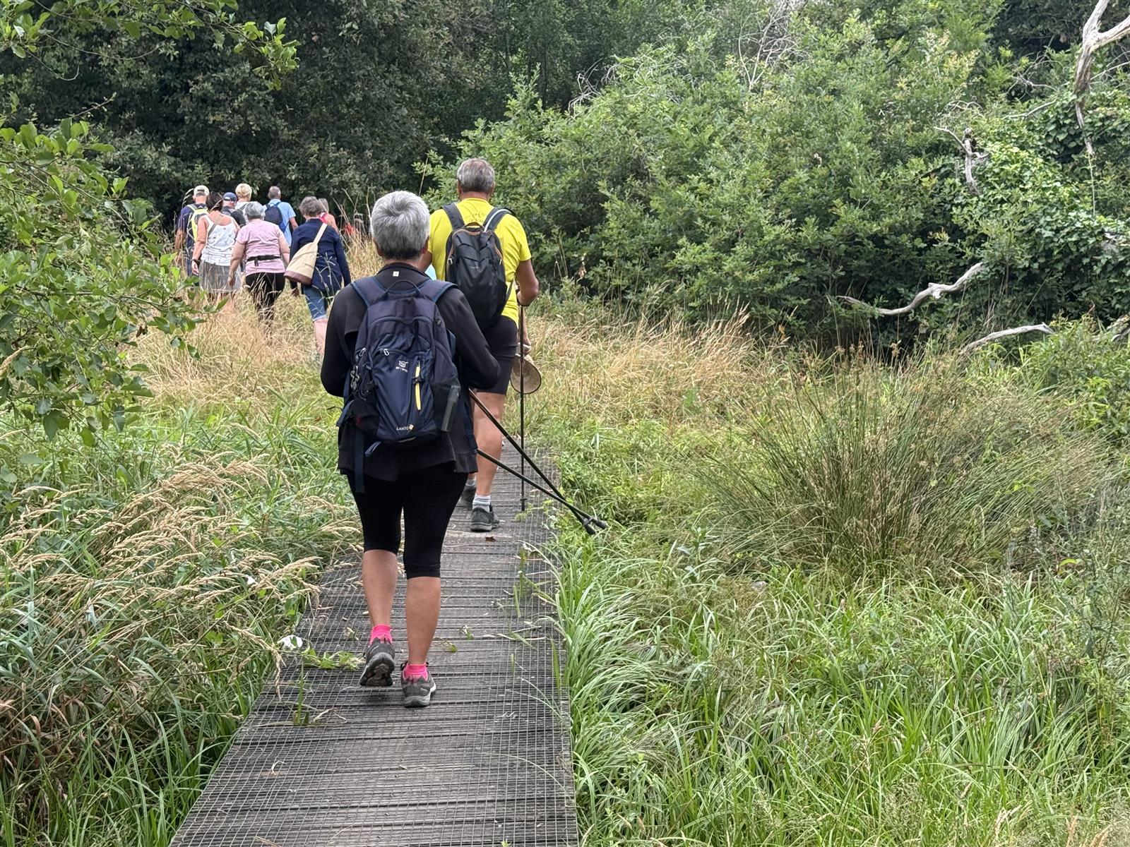 Tour du lac - Saint Paul - Aureilhan