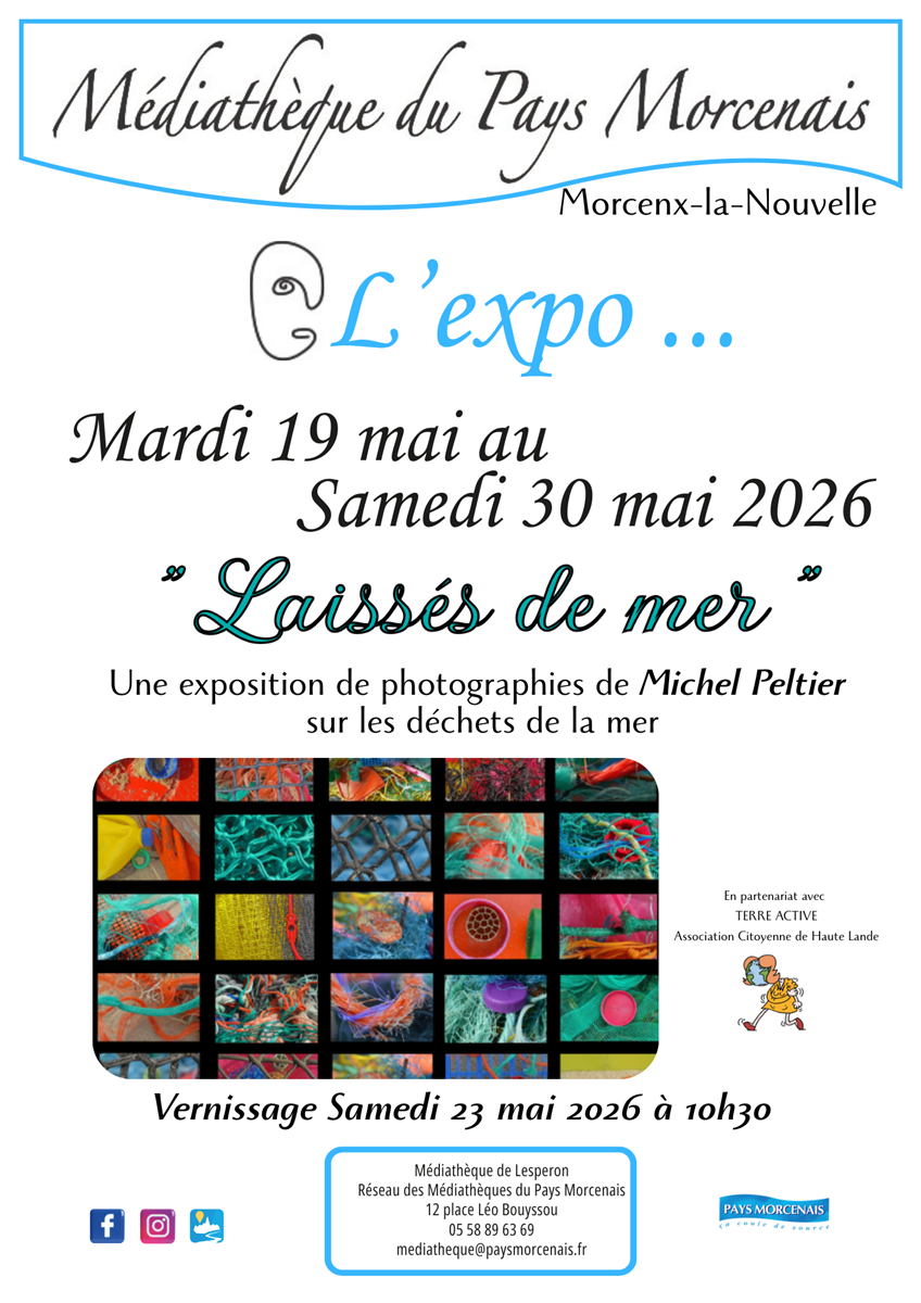 L'Expo " Laissées de mer" de Michel Peltier