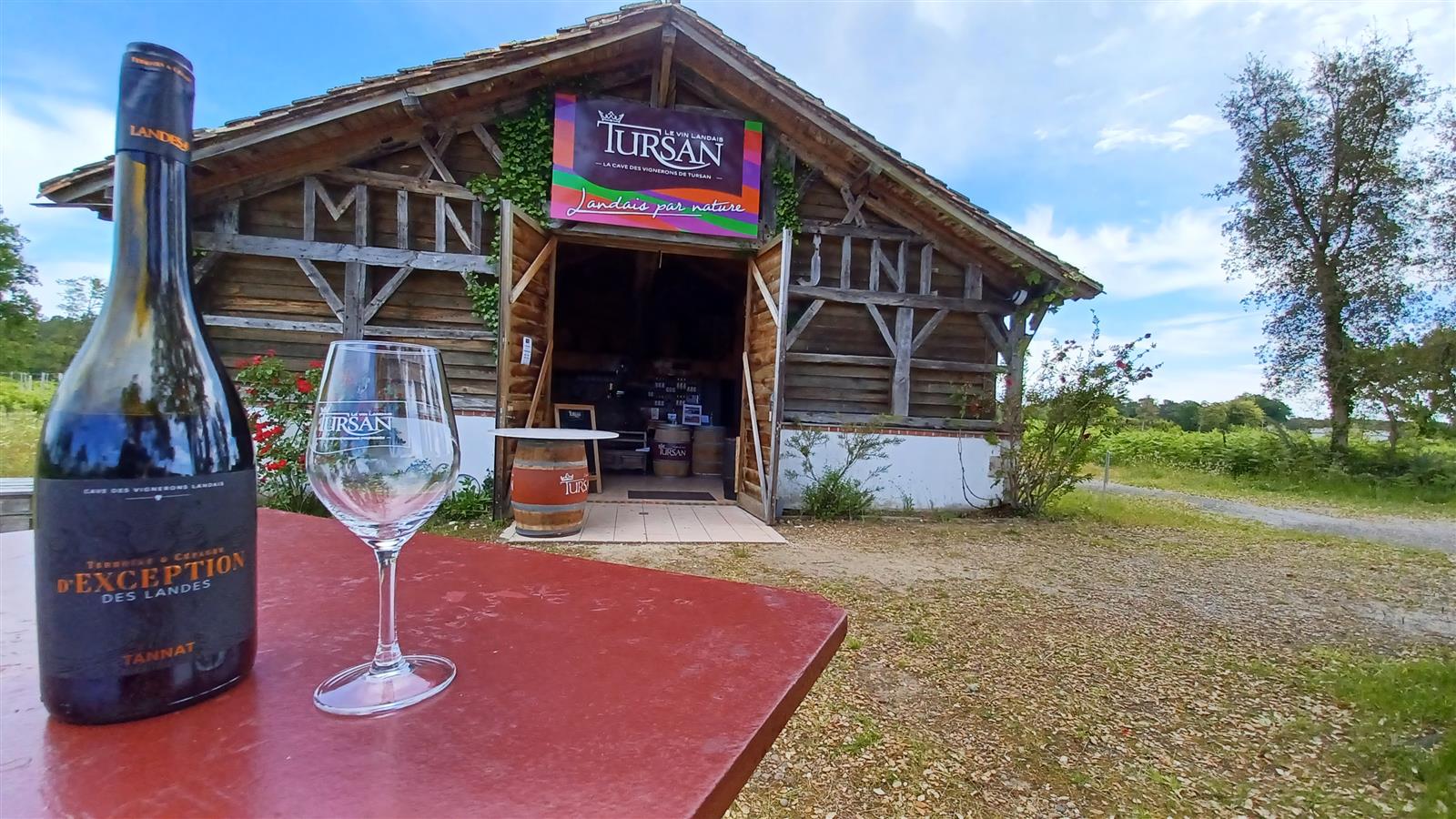Dégustations gratuites de vins
