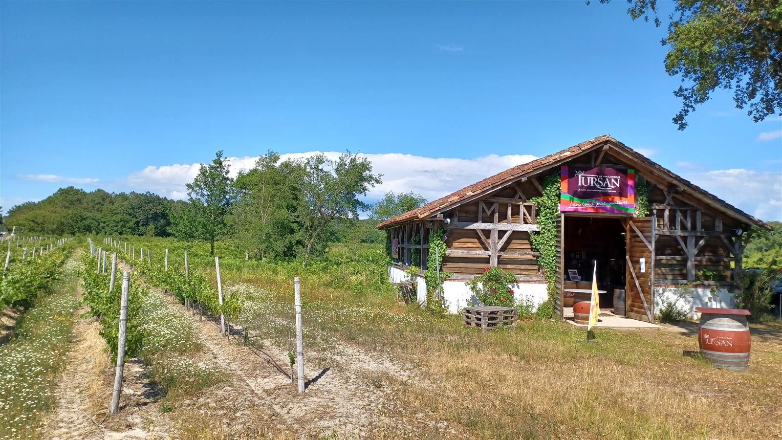 Découverte des vins landais