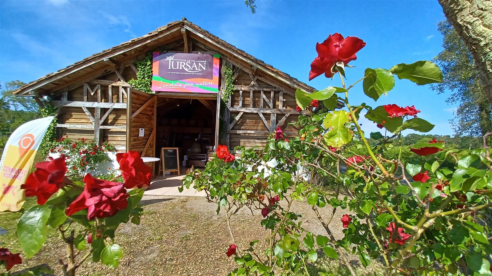 Découverte des vins landais