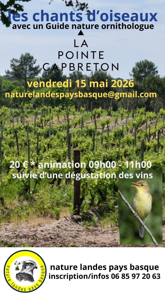 Visite thématique guidée et dégustation vins