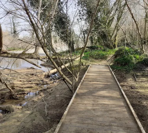 Découverte des Sentiers de l’Adour