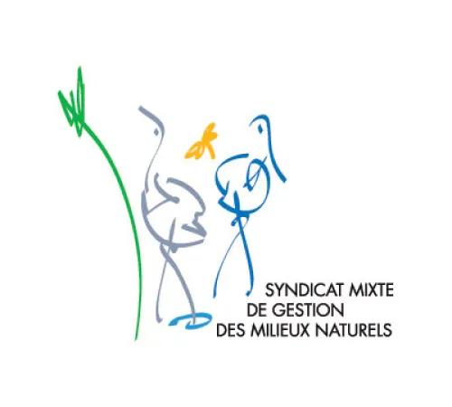 Baguage de passereaux