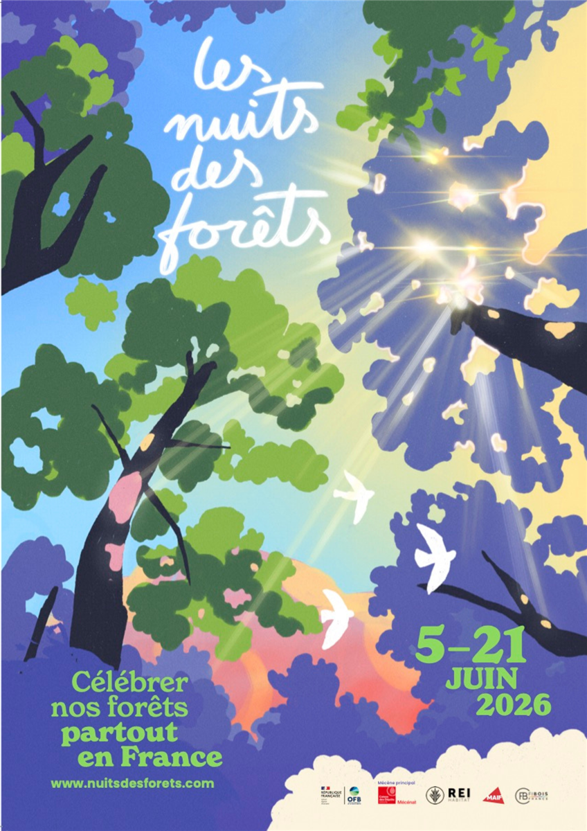 Les Nuits des Forêts