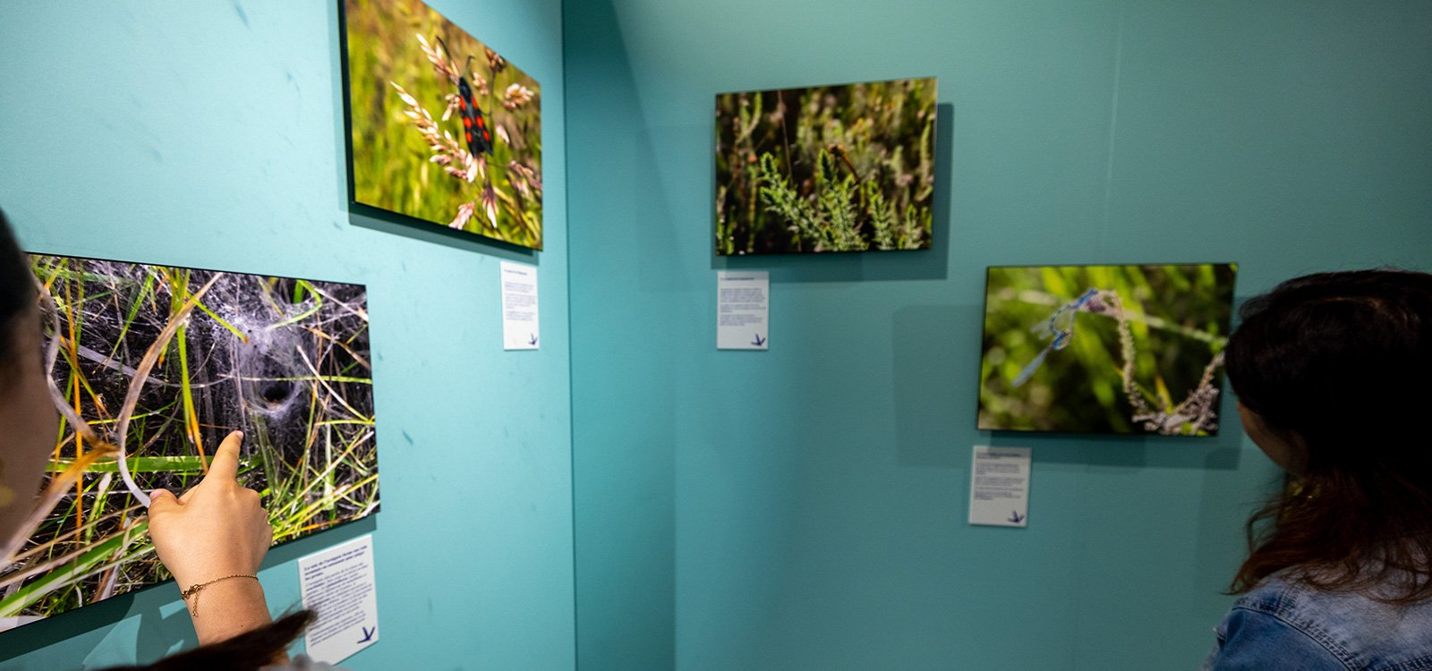 Exposition photo "Arjuzanx, d'une mine de lign ...