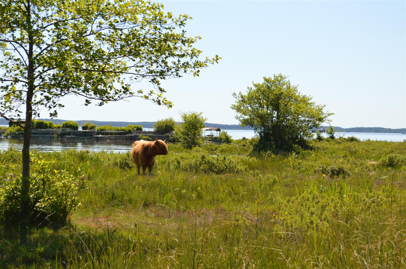 Découverte des prairies au bord du lac de Sang ...