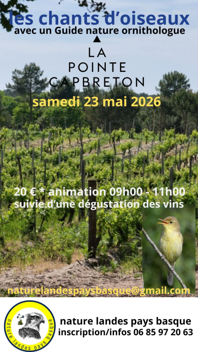 Visite thématique guidée et dégustation vins