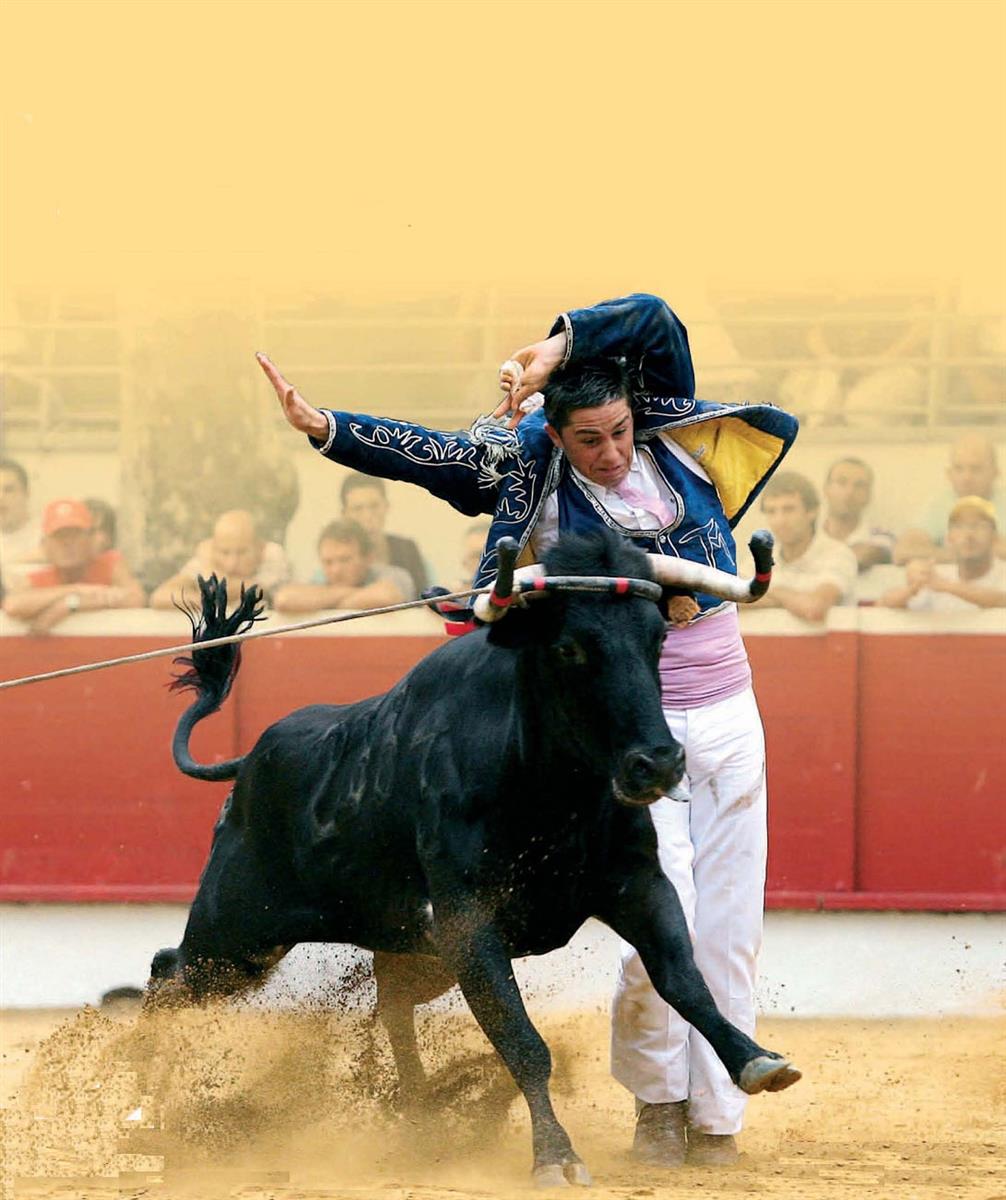 Semaine Landaise / Course landaise / Bulls on  ...