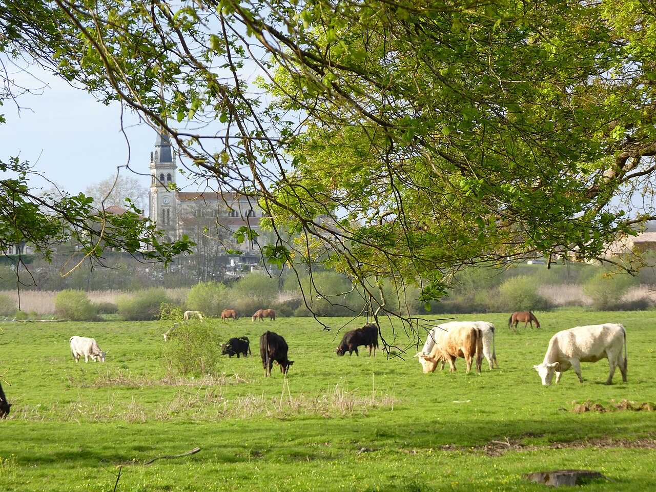 Découverte des Barthes de l'Adour