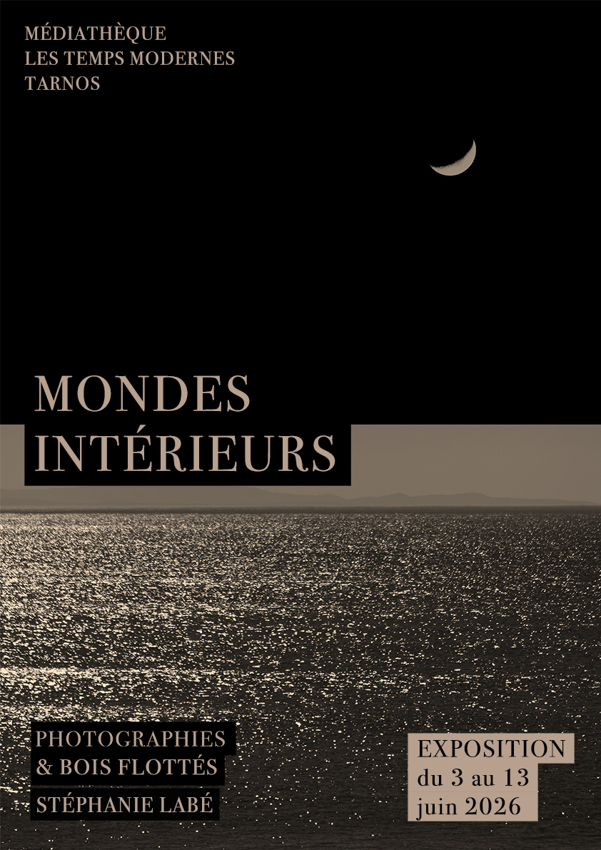 "Mondes intérieurs" - Photographies et bois fl ...