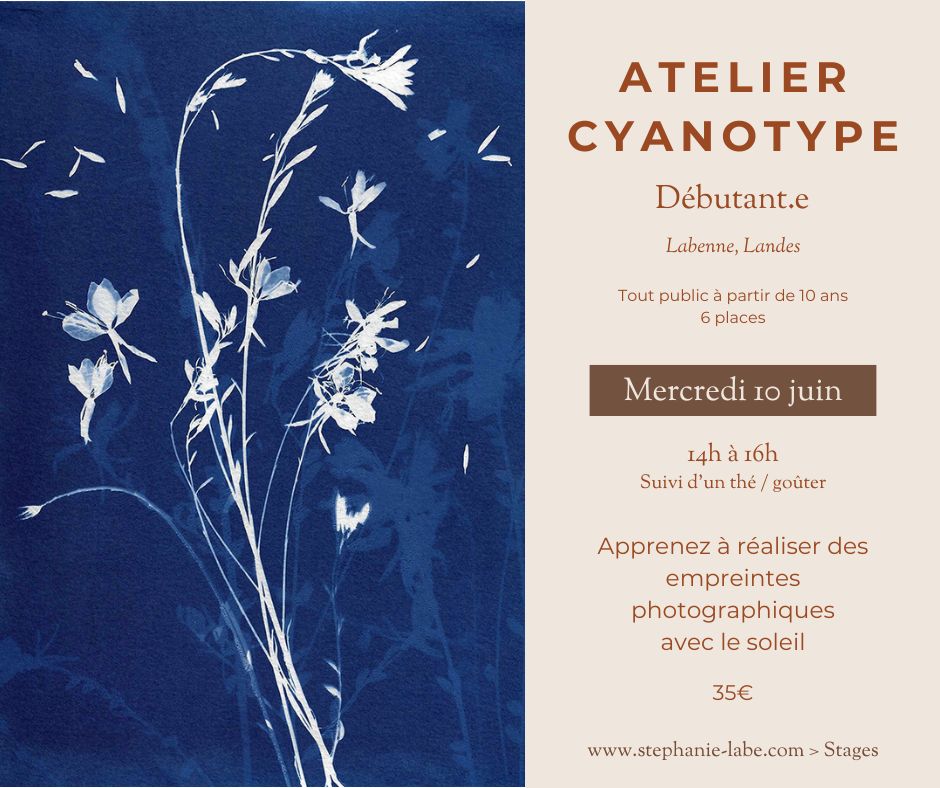 Atelier cyanotype