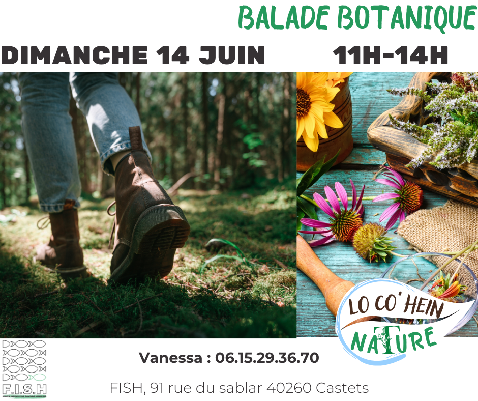 Balade botanique