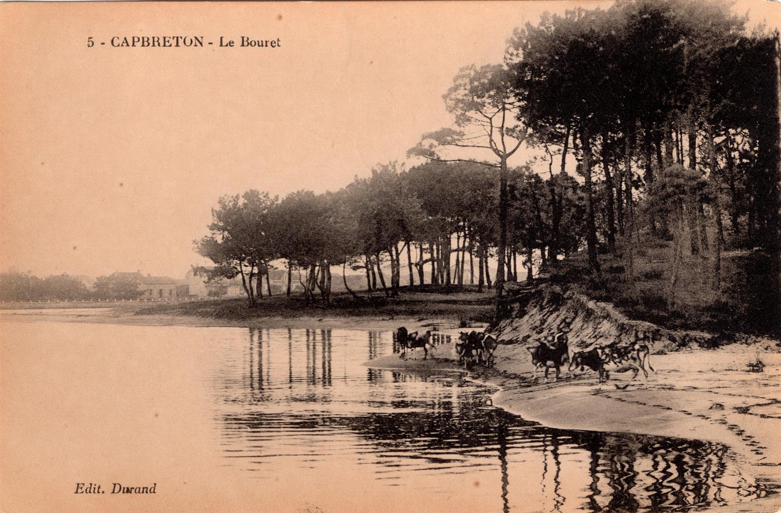 L’histoire méconnue de la fôret landaise