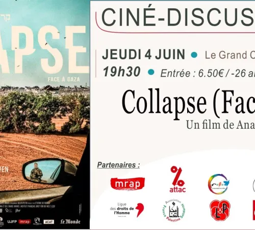 Ciné-discussion autour de "Collapse"