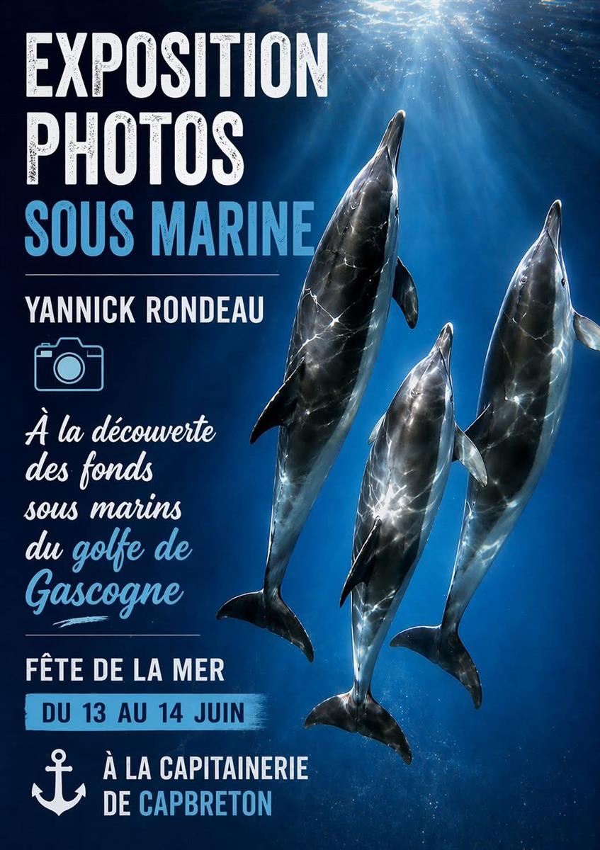 Exposition photos sous marine Yannick Rondeau