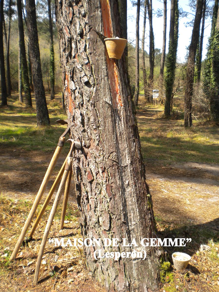 Journées du Patrimoine - La Maison de la gemme ...