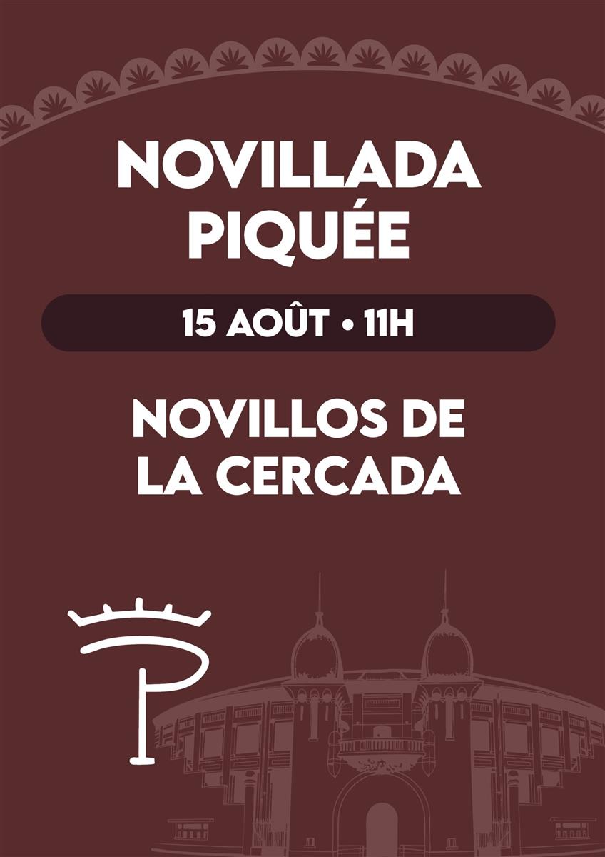 Novillada piquée
