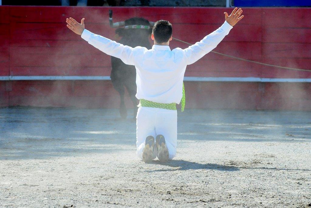 Course landaise ganaderia Nogues cuadrilla Plassin