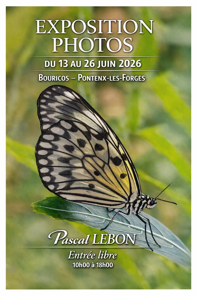 Exposition photos - Pascal Lebon