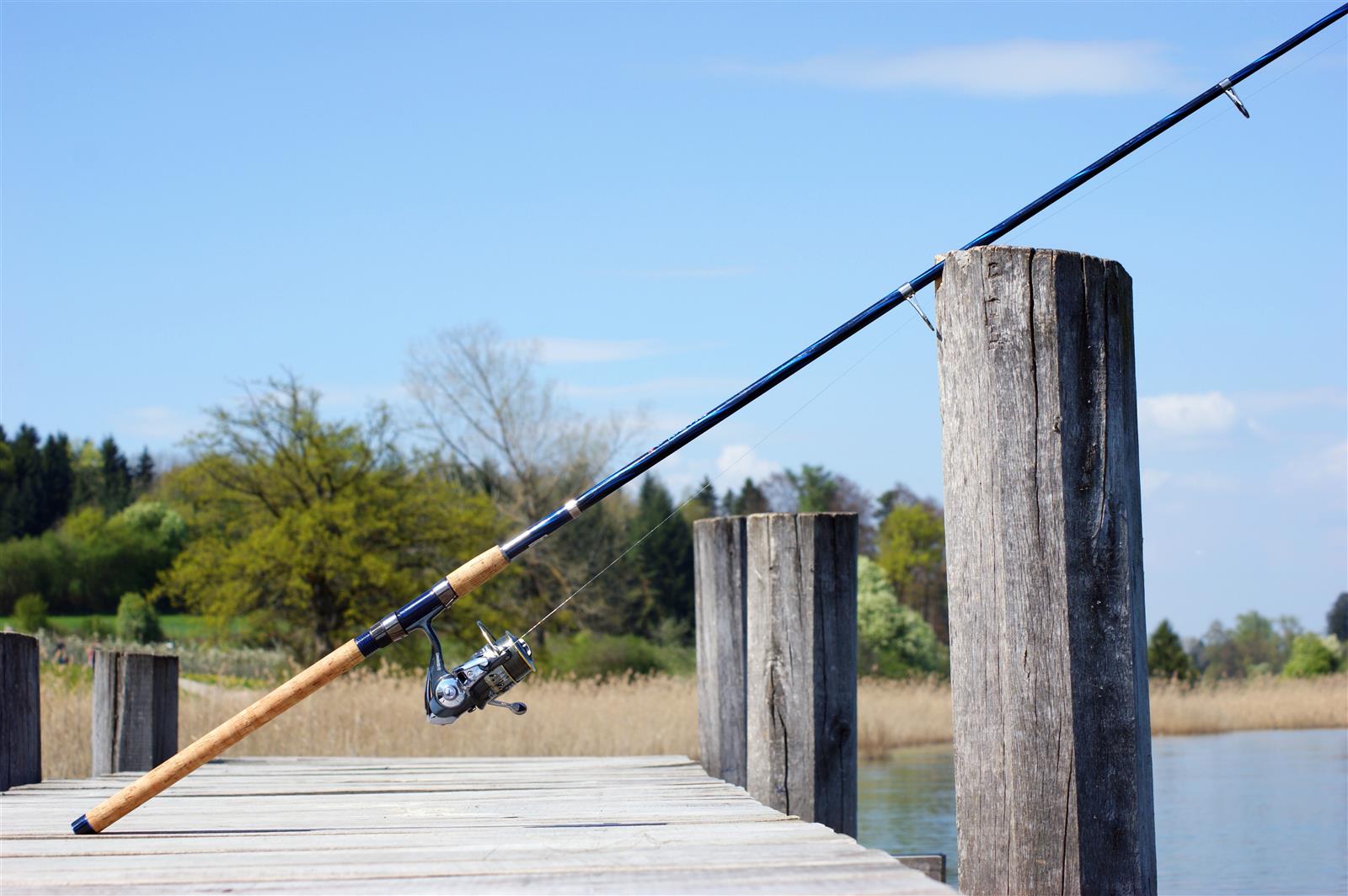 Concours de pêche à la truite des Ferias