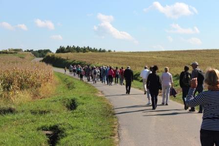 Randonnée pédestre : Sentier de la Pomme de Pin
