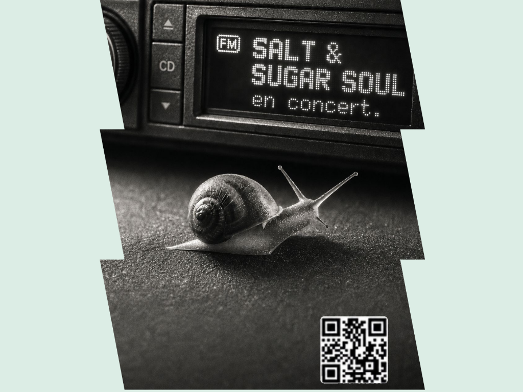 Concert salt & sugar soul