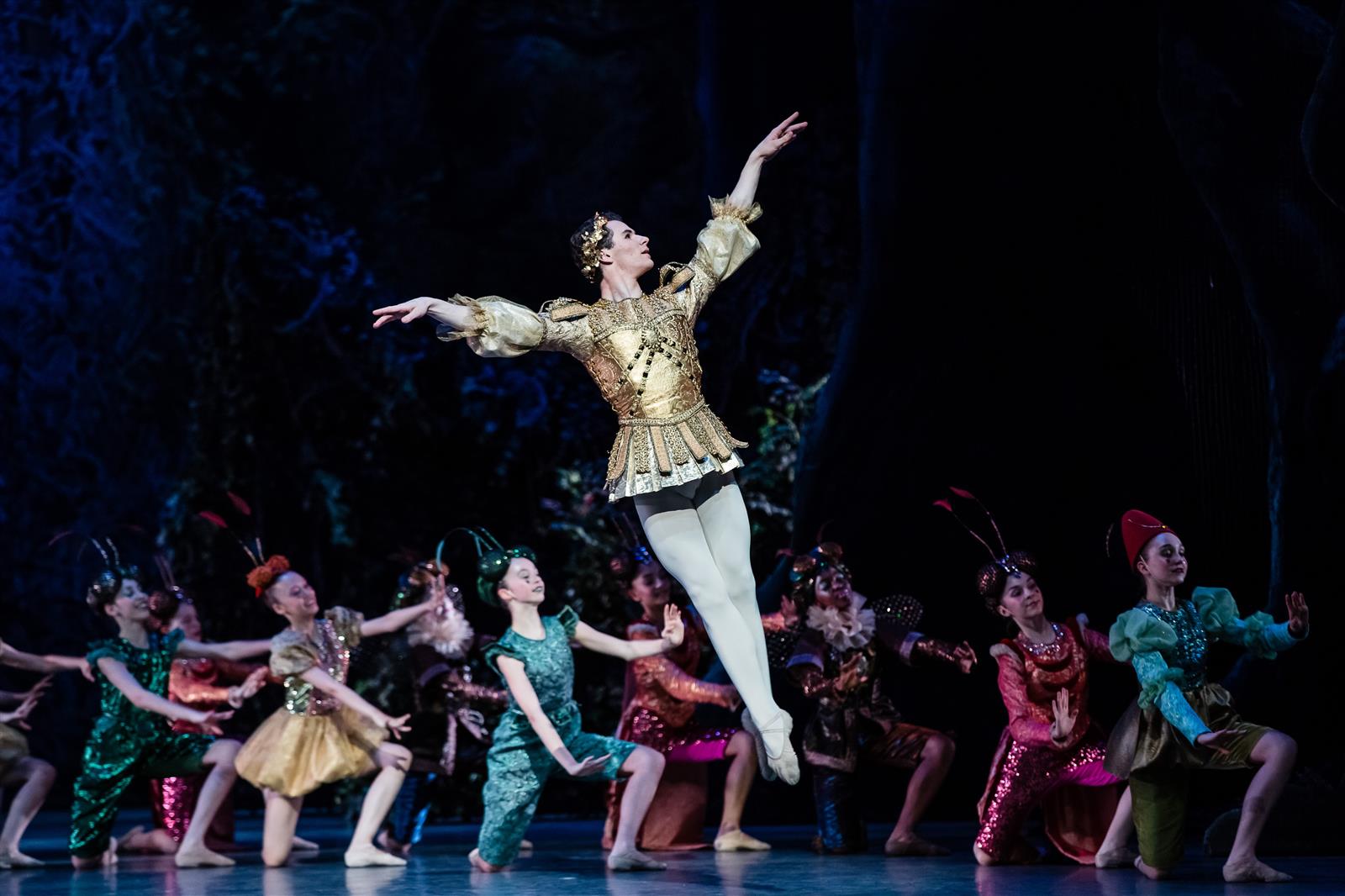 Diffusion Micro-Folie : ballet Le Songe d’une  ...