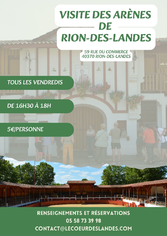 Visite des arènes de Rion des Landes