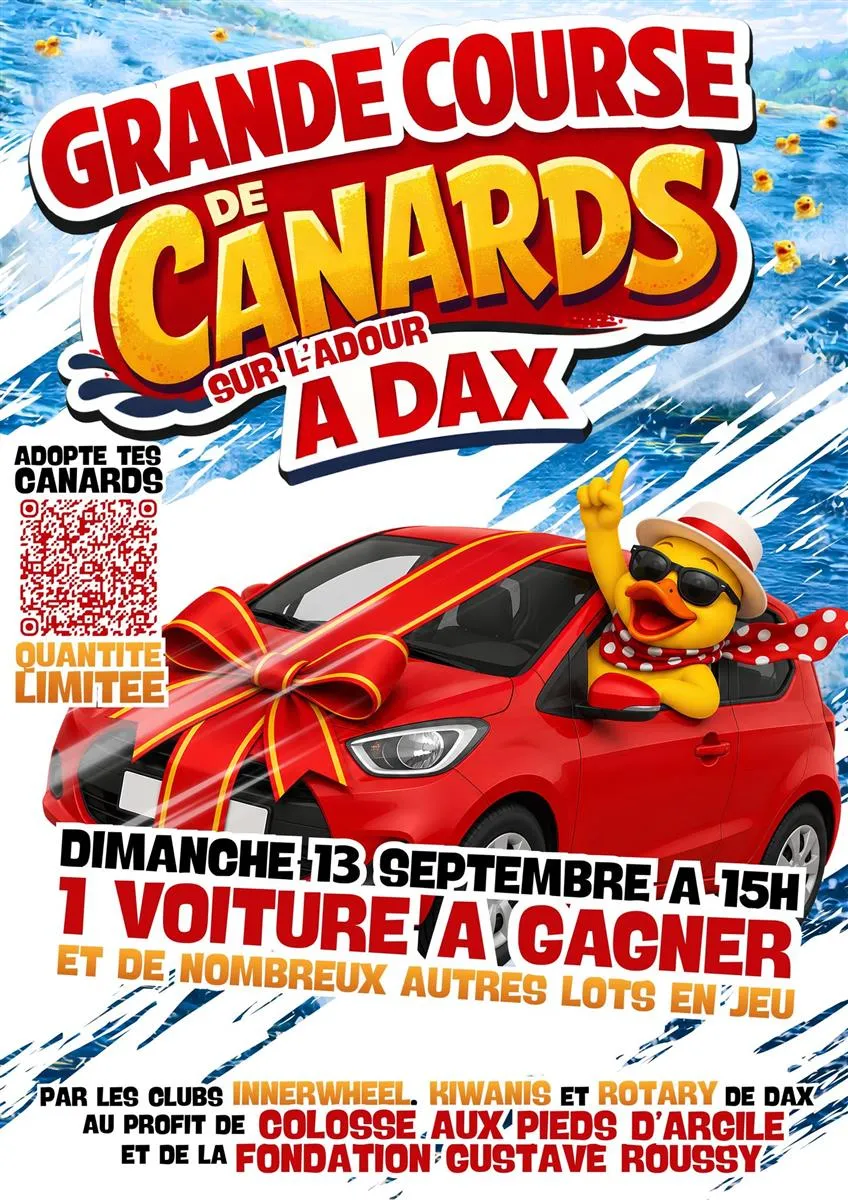 Course de canards - Crédit: Course canard | CC BY-NC-ND 4.0