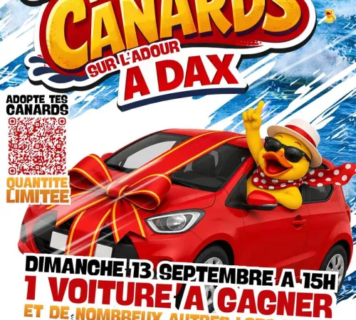 Course de canards