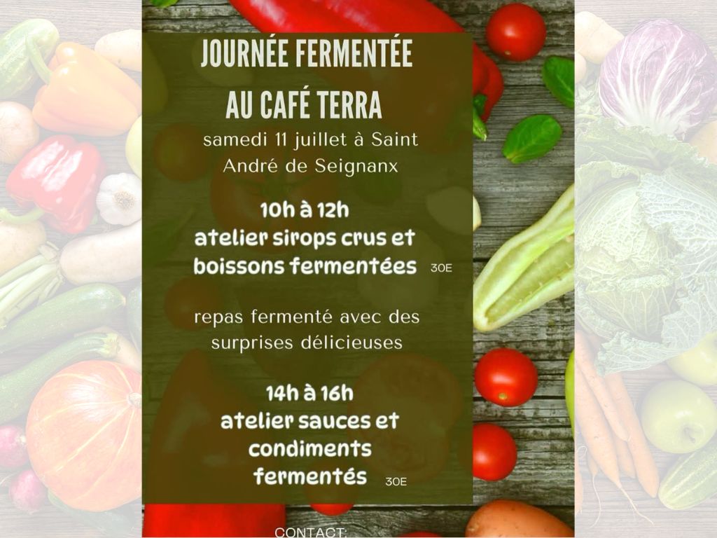Journée fermentée au Café Terra