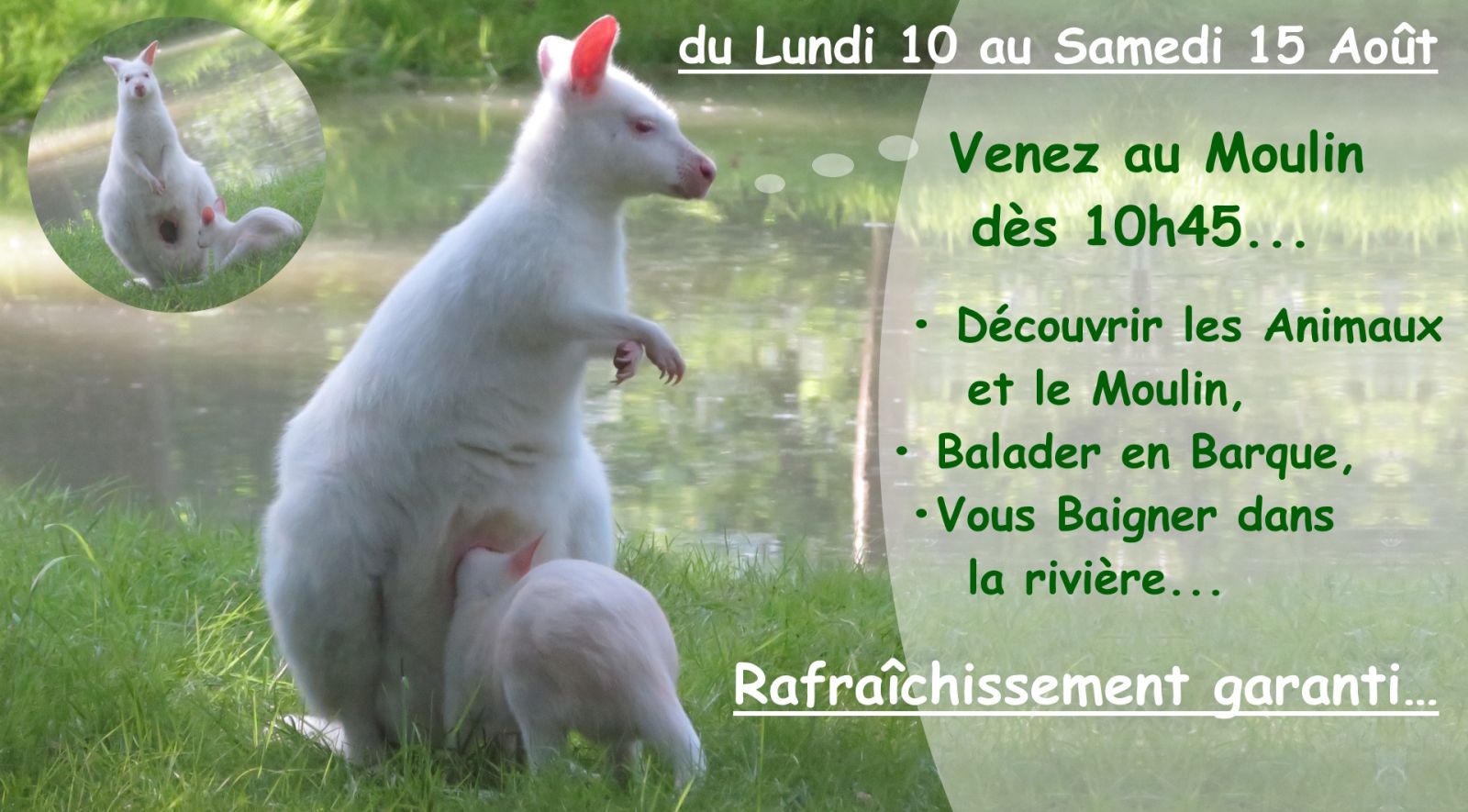 Le Moulin de Poyaller sera OUVERT dès 10h45, d ...