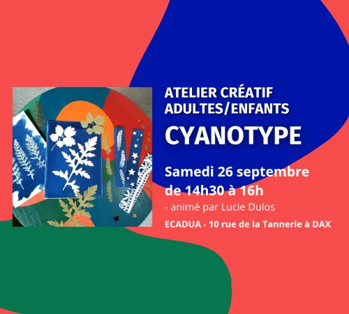 Atelier créatif Cyanotype (impression solaire) / Adultes ou enfants