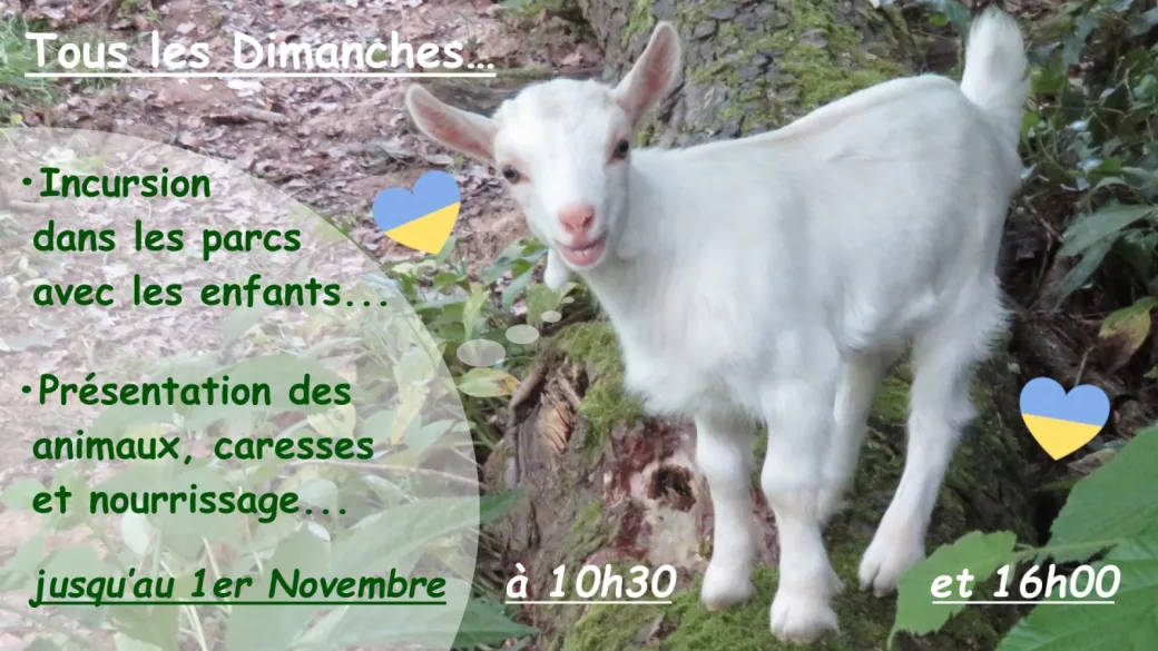 Les DIMANCHES matins ...