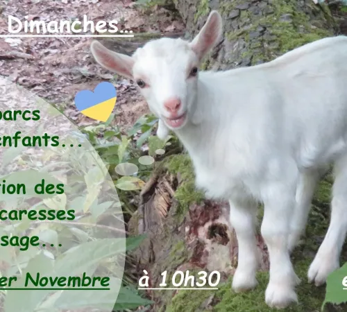 Les DIMANCHES matins de MARIE au Moulin de Poyaller