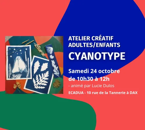 Atelier créatif Cyanotype (impression solaire) / Adultes ou enfants