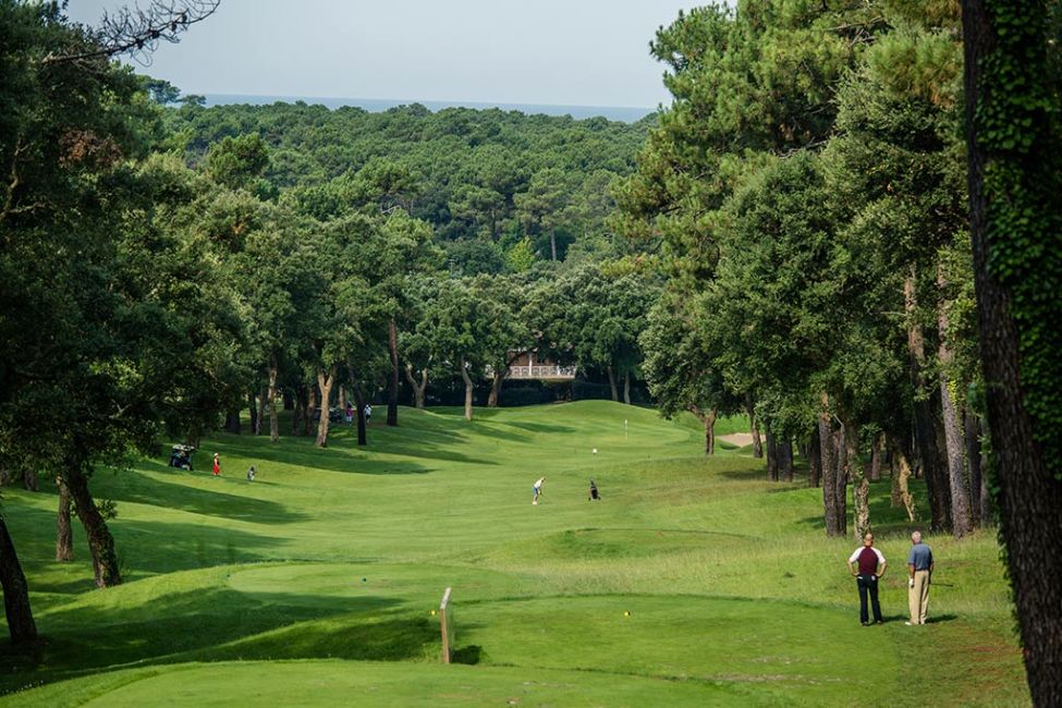 Seignosse Virée sur les terres Landaises à Seignosse Villes et