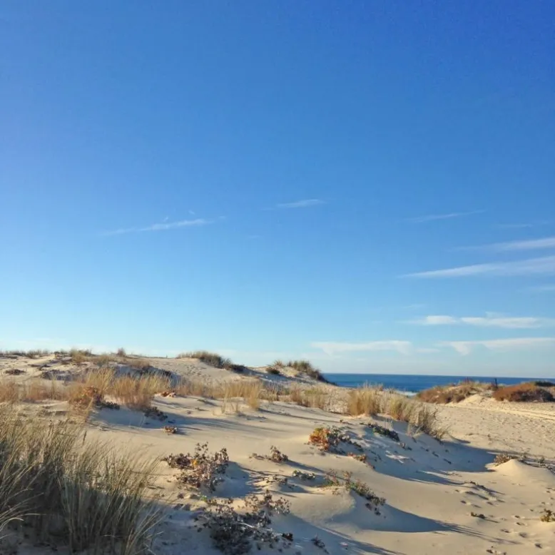 Plage de Saint-Julien-en-Born