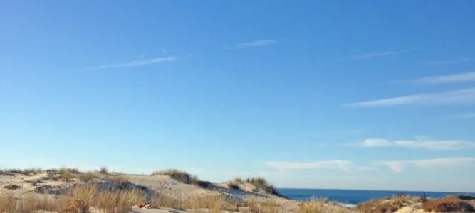 Plage de Saint-Julien-en-Born