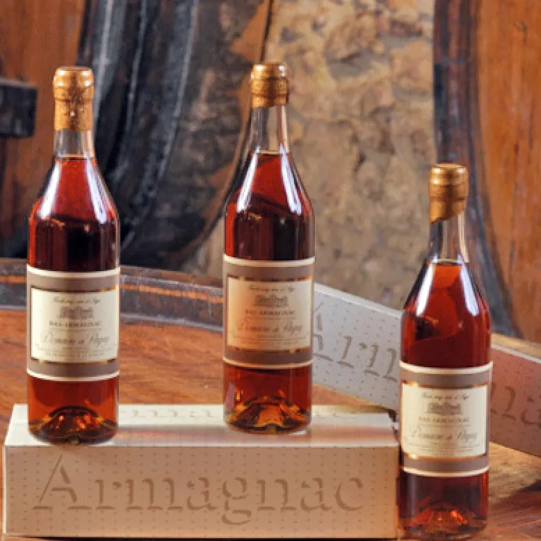Paguy - Domain in Armagnac