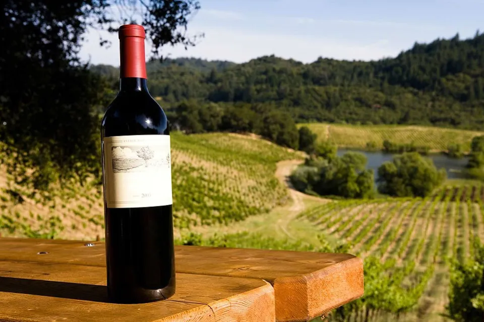 DOMAINE D'AUGERON