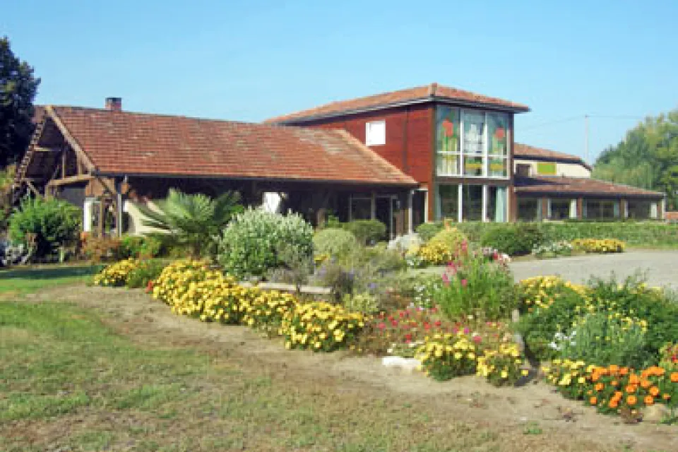 Atelier de Fleurs Séchées