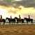 Equestrian Center L'Appaloosa