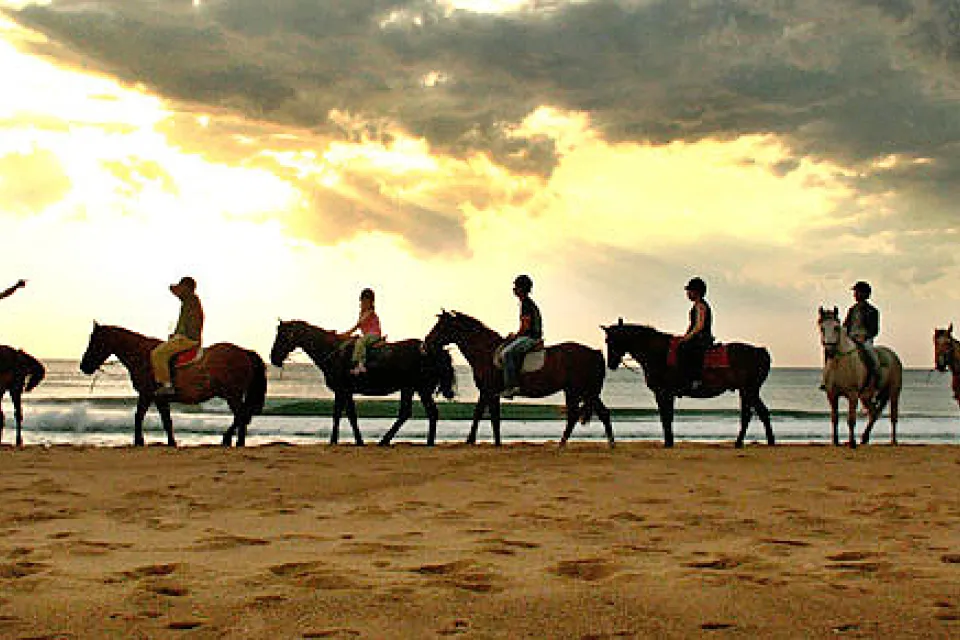 Equestrian Center L'Appaloosa