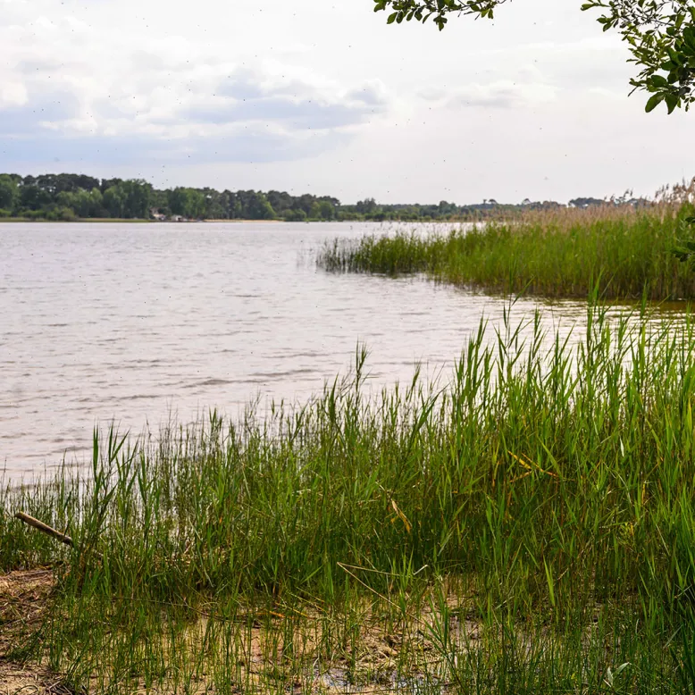 Plage de Maguide au lac de Biscarosse