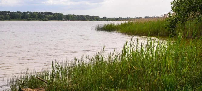 Plage de Maguide au lac de Biscarosse